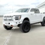 Ford F 150 Raptor R by Late Model Racecraft(7)